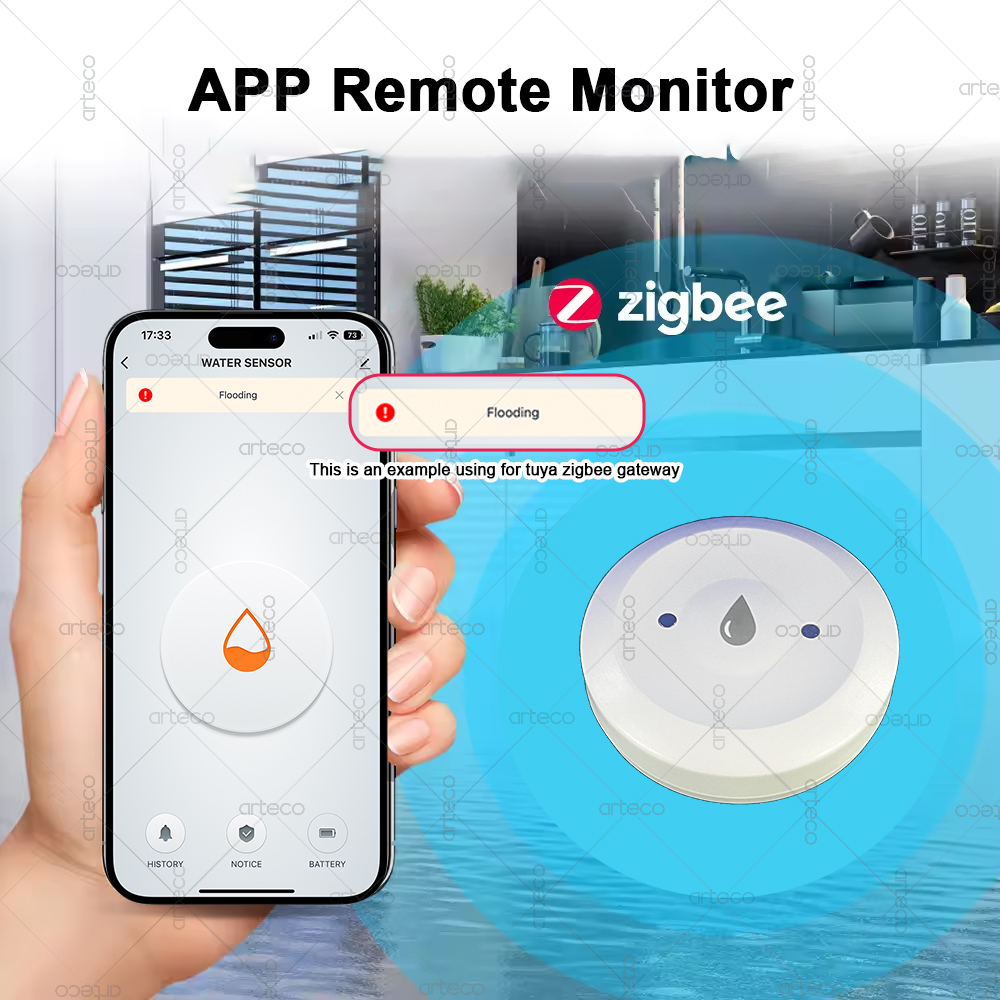 Smart Zigbee Water Sensor Floo - Smart Home Zigbee Gateway recension och pris