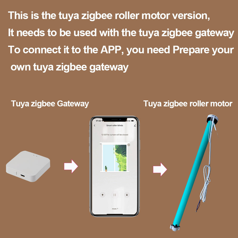 2N AC100-240V Tuya Zigbee Smar - Smart Home Youtube recension och pris