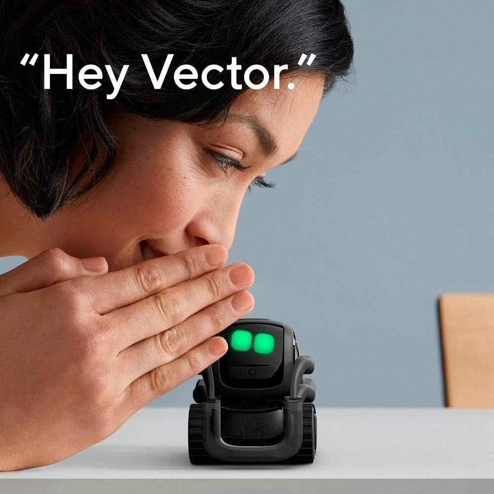 AI ChatGPT 2.0 Connected Robot - Smart Home Remote Control recension och pris