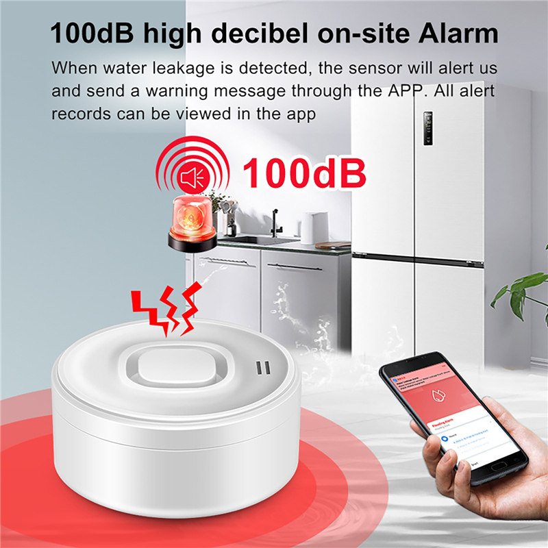 Smart WIFI Water Leak Detector - Wifi Water Sensor recension och pris