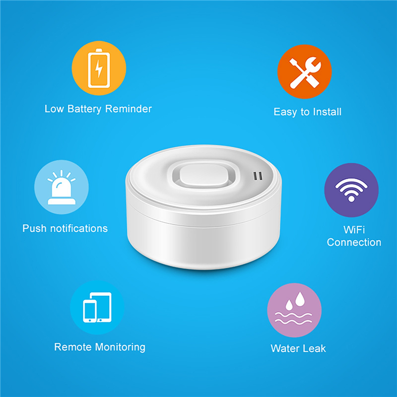 Smart WIFI Water Leak Detector - Wifi Water Sensor recension och pris