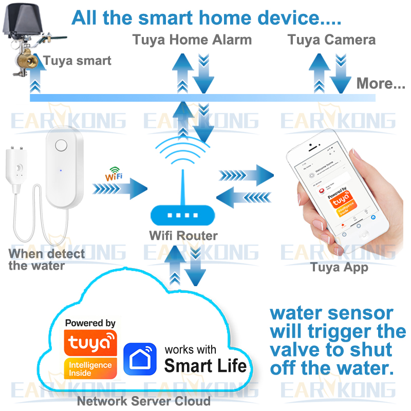 Tuya WiFi Smart Water Leak Sen - Wifi Water Sensor recension och pris